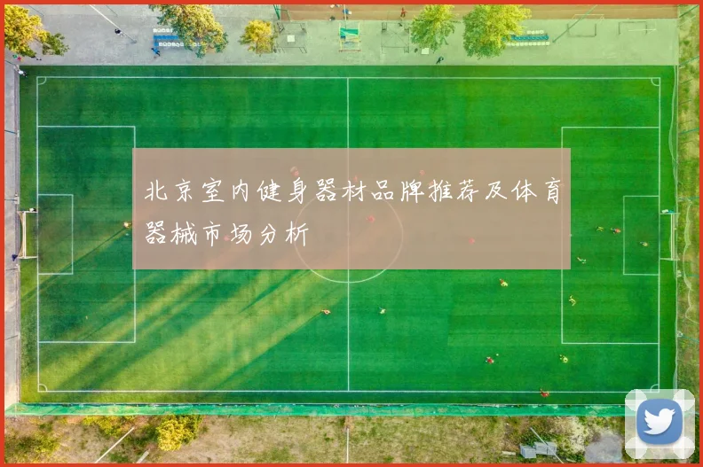 北京室内健身器材品牌推荐及体育器械市场分析