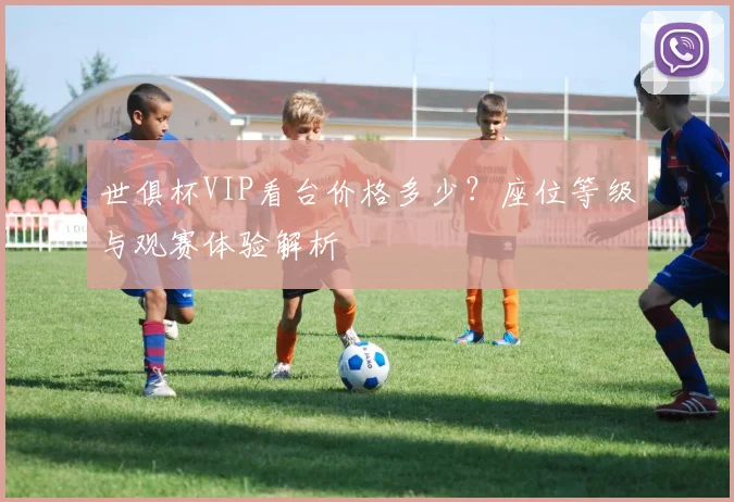 世俱杯VIP看台价格多少？座位等级与观赛体验解析