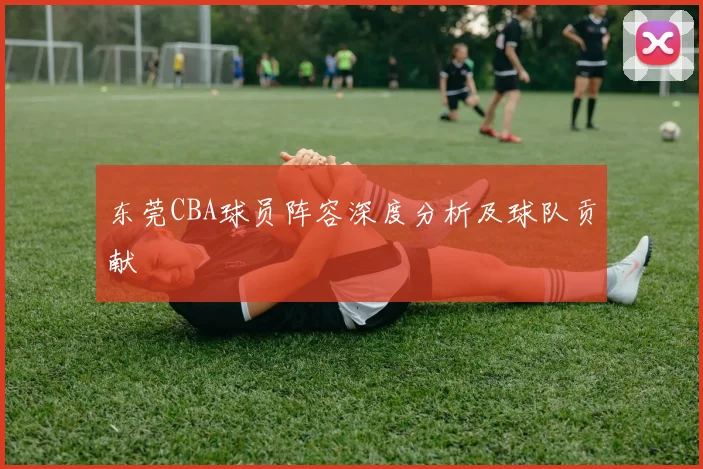 东莞CBA球员阵容深度分析及球队贡献