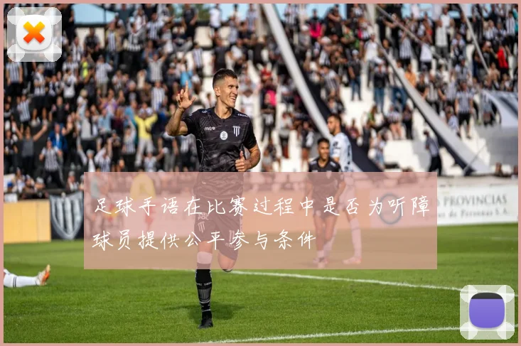 足球手语在比赛过程中是否为听障球员提供公平参与条件