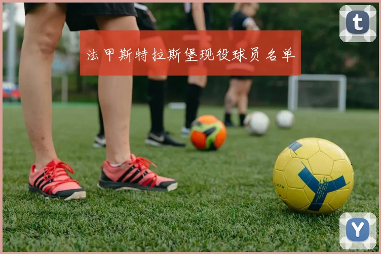 法甲斯特拉斯堡现役球员名单