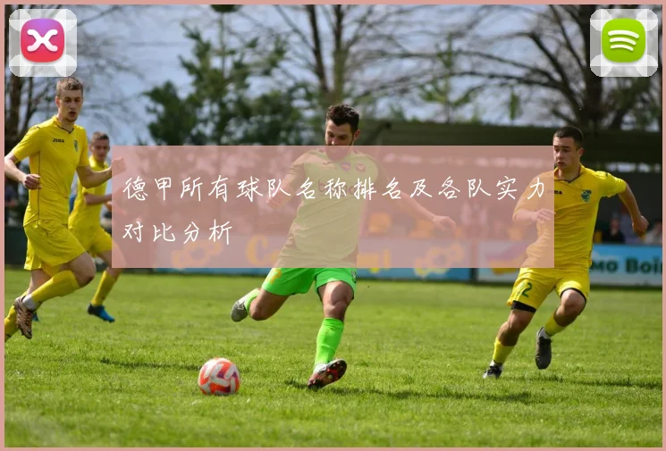 德甲所有球队名称排名及各队实力对比分析